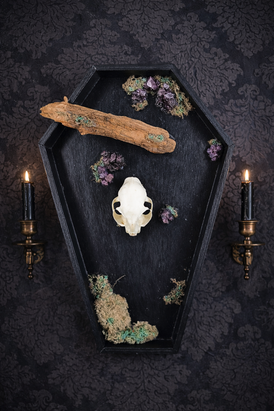 décoration cercueil gothique à suspendre avec crâne de chat