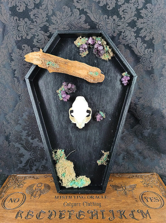 décoration witchy crâne de chat et cristaux