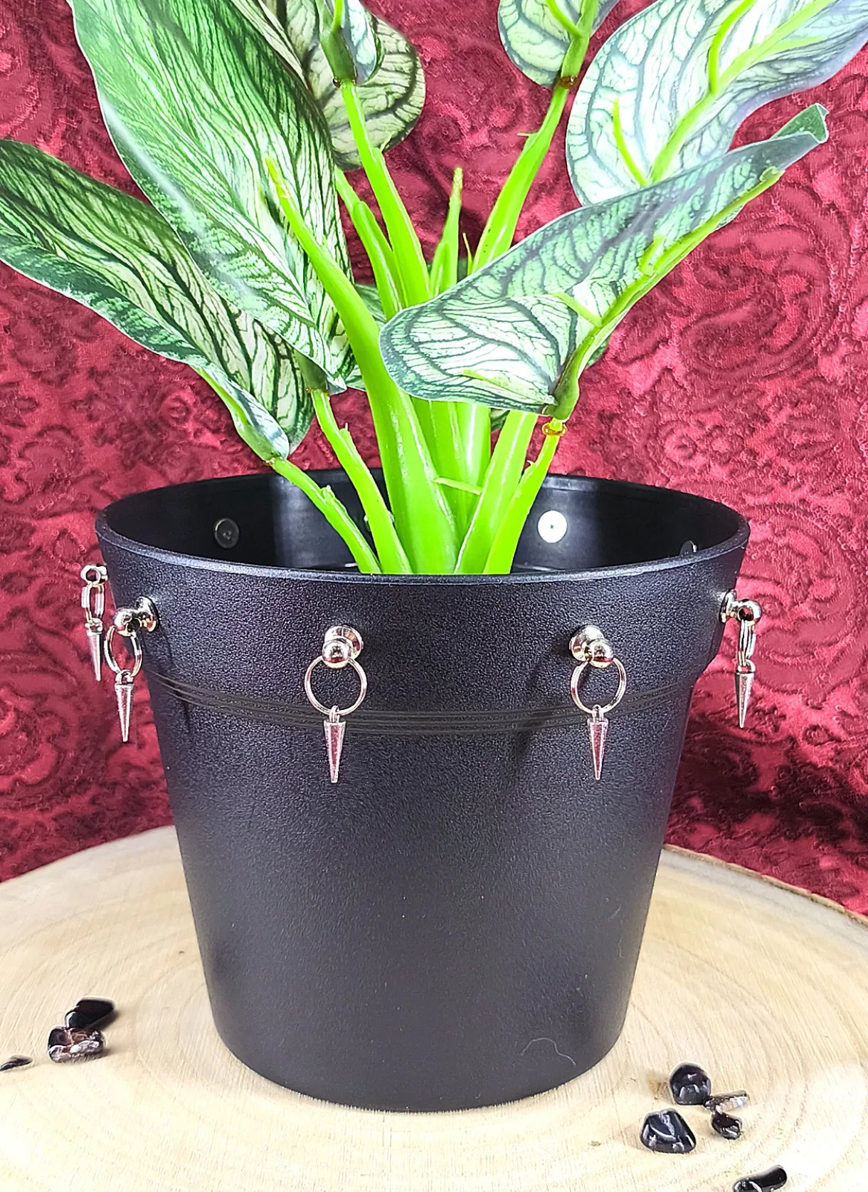 décoration plante gothique dark avec pointes