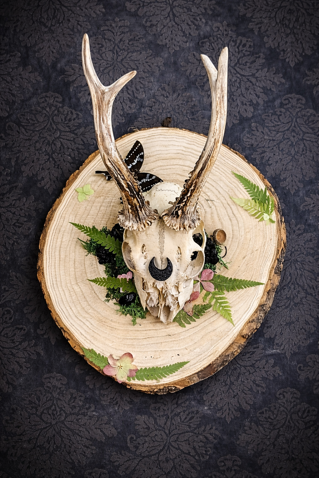 massacre de chevreuil gothique à suspendre
crâne de chevreuil décoration cabinet de curiosités