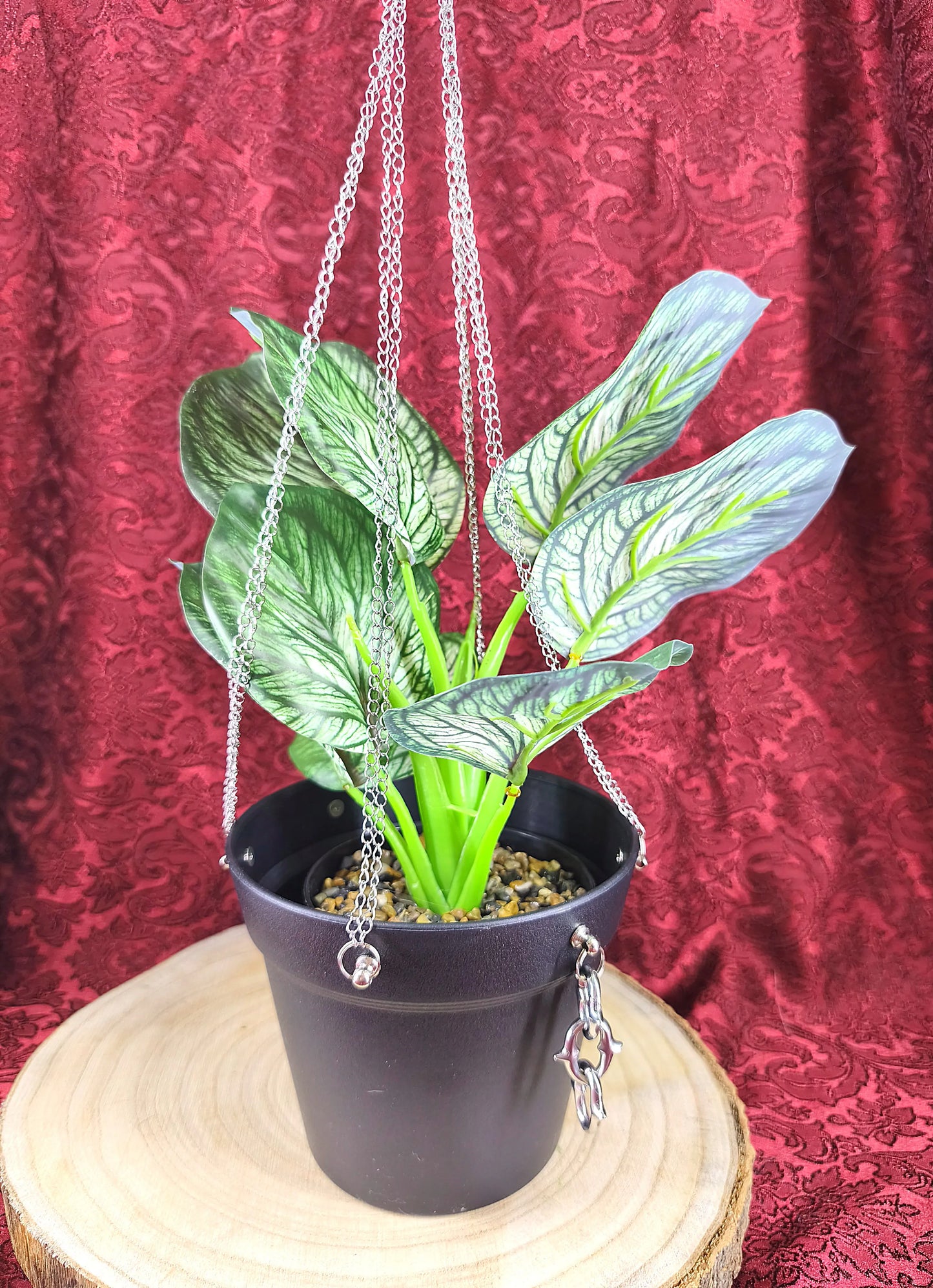 plante suspendue décoration gothique