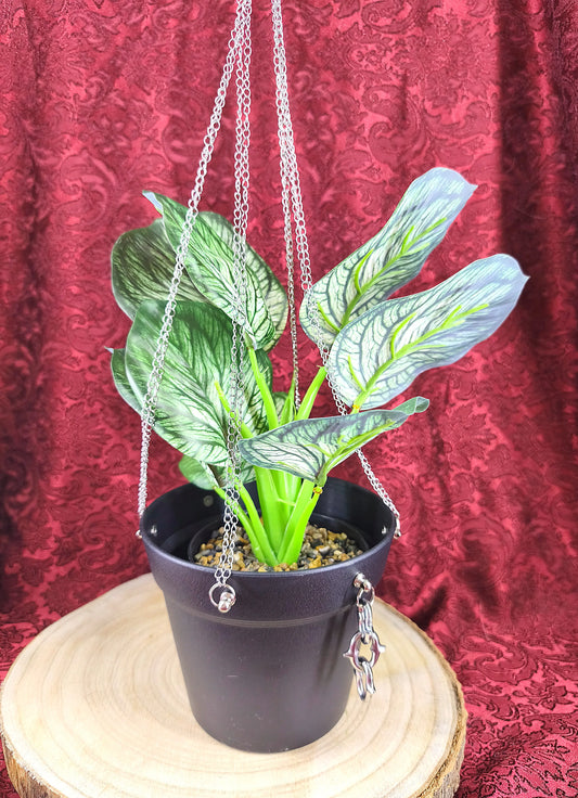 plante suspendue décoration gothique